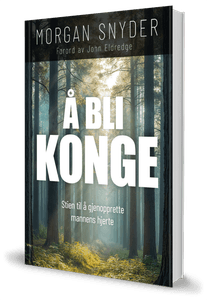 Hovedbilde Å bli konge – Stien til ...
