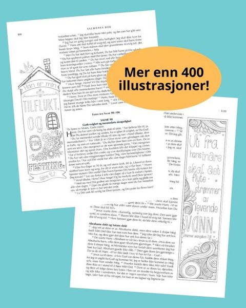 Inspirasjonsbibelen (turkis)