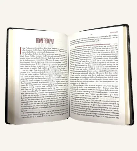 The Message – Budskapet (kunstskinn)  Eugene H.Peterson